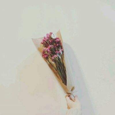 双人成行手机版